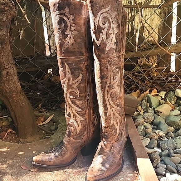 Dan Post Shoes - Dan Post knee high boots